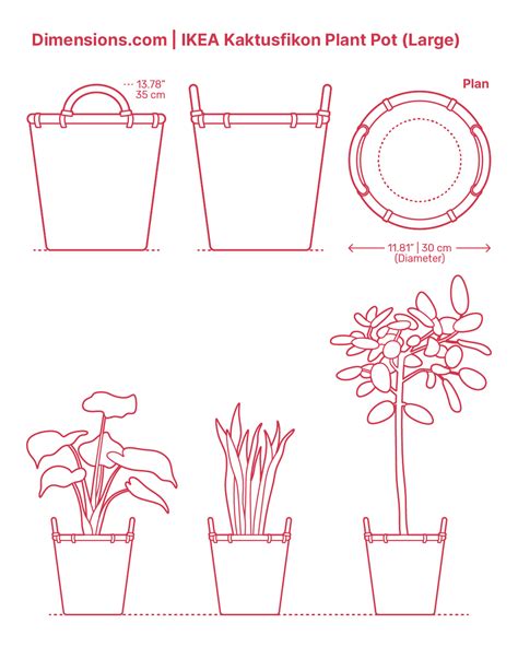 Image result for A4 Paper Dimensions