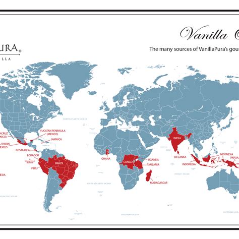 Where do vanilla beans come from? A global guide to vanilla bean origi – VanillaPura
