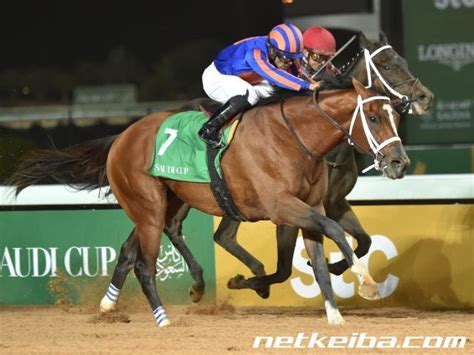 Maximum Security | 競走馬データ - netkeiba