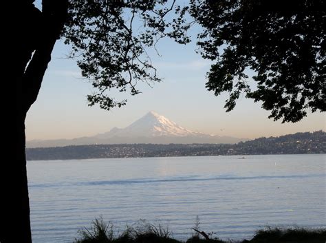 Seward park is one of my favorite parks! It has a great playground for ...