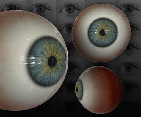 Image result for Tim Root Eye Refraction