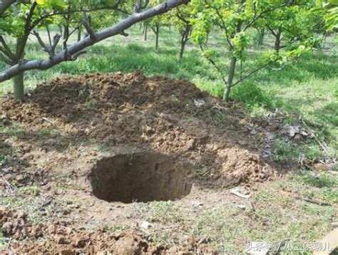 農村挖井人，辛苦挖井4天，8米深1600元錢 - 每日頭條