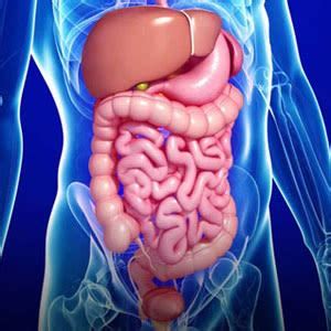 Home | DM (Gastroenterology)SGPGI, Lucknow | Dr. Amit Goyal