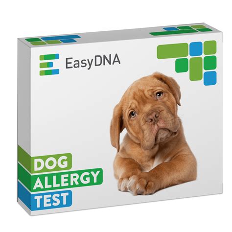 Dog Allergy Test | #1 EasyDNA New Zealand - Paternity Testing - Health ...
