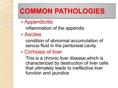 Digestive System Diseases 的图像结果