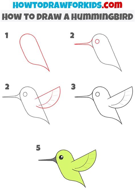 Image result for Hummingbird Fishfinder Tutorial