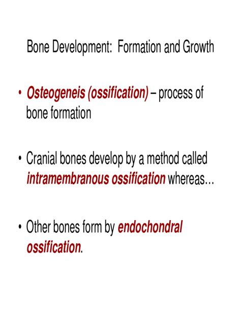 Image result for Process of Bone Formation