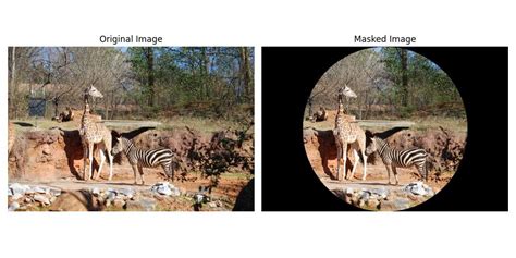 Matplot Code Image 的图像结果