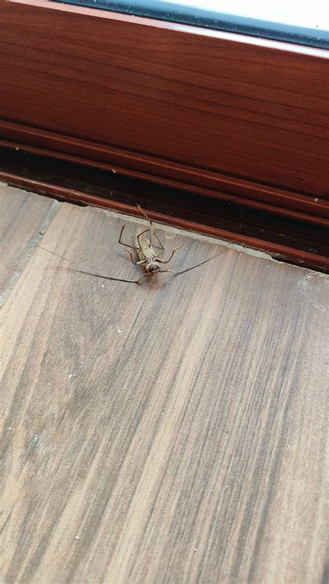 XOOT"KAN"ANA (Barbara Guerrero Perez) - Guesthouse Reviews, Photos ...