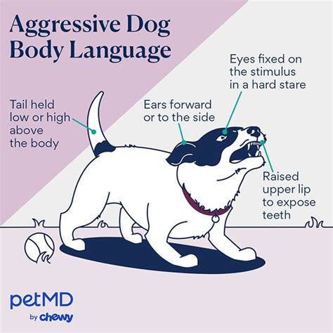 Aggressive Body Language 的图像结果