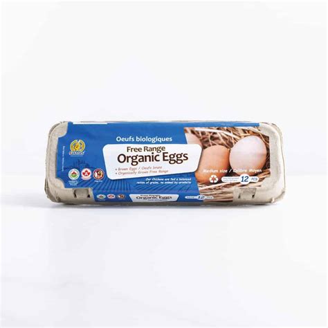 Sungiven Organic Free Range Eggs M (12 pcs) - Sungiven Foods