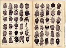 Name Hairstyle For by Names Of Hairstyles For Names Of Different Name Hairstyle For