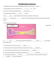 Image result for Crash Course Skeletal System