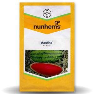 Buy Astha Watermelon Seeds Starting @₹1200/- | BigHaat