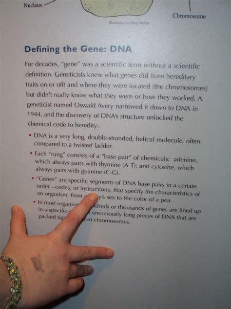 Image result for DNA God Code Nature