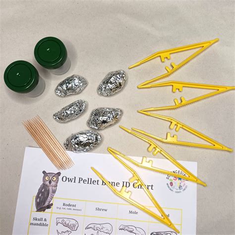 Shop | Science Kits | Owl Pellet Dissecting Kit x 5