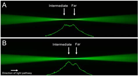 Visualization of Ray Propagation through Extended Depth-of-Focus Intraocular Lenses