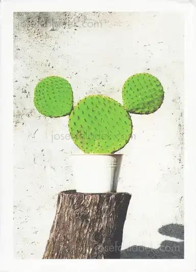 Izaac Enciso - Symbols, Le Roy Publishing, 2016, New Zealand, book ...