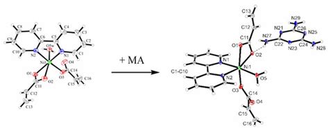 Structural and Antimicrobial Characterization of Co-Crystal [Ni(bpy ...