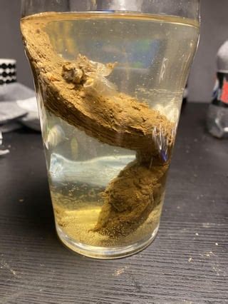 Image result for Flat Poop