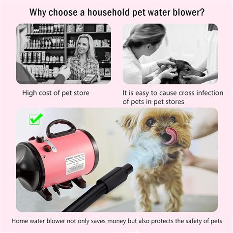 KLUFO Dog Hair Dryer, 2800W Dog Blaster Dryer, Pet India | Ubuy