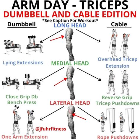 Pin by Just a guy on Exercice epaule | Triceps workout, Arm day workout ...