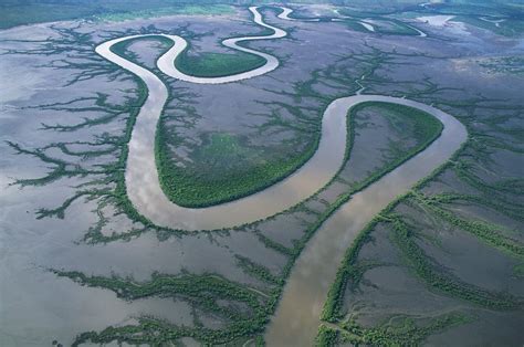 Image result for Delta PCO2