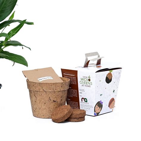 Kids’ GrowKit by Ninsar Agritech for growing microgreens at home ...