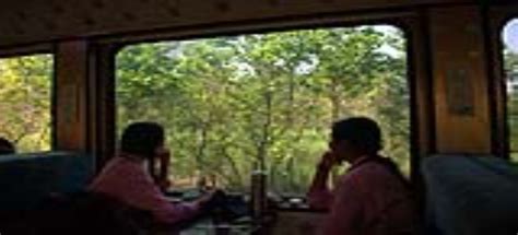 Vistadome Train Safari
