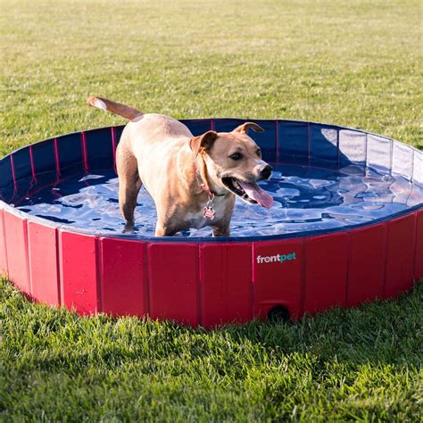 Folding Dog Pool with Drain Plug | Dog pool, Dog supplements, Dogs