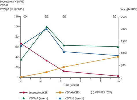 Varicella zoster virus cerebellitis in a 66-year-old patient without ...