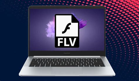 Image result for FLV File