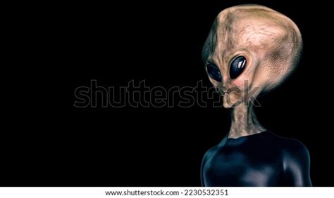 Alien Evel Grays 的图像结果