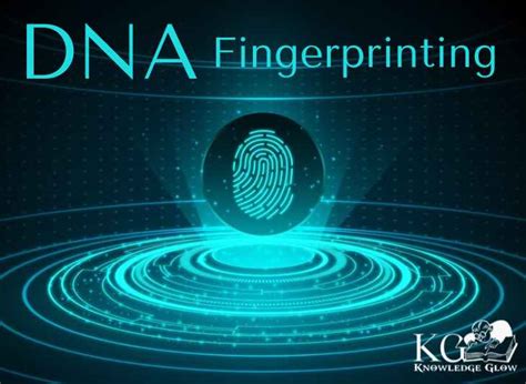 Image result for DNA Fingerprinting Examples