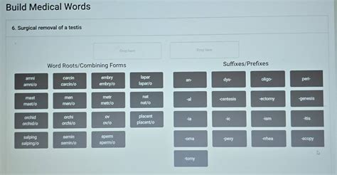 Solved: Build Medical Words 6. Surgical removal of a testis Drop here ...