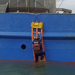 Waterbug Self-Rescue Ladder 的图像结果