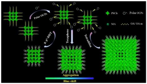 Application of Perovskite Nanocrystals as Fluorescent Probes in the ...