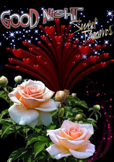 Most Beautiful Good Night Flowers at Clarence Swingle blog