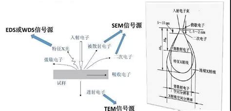 科研仪器基本原理（三）SEM | 辉雪