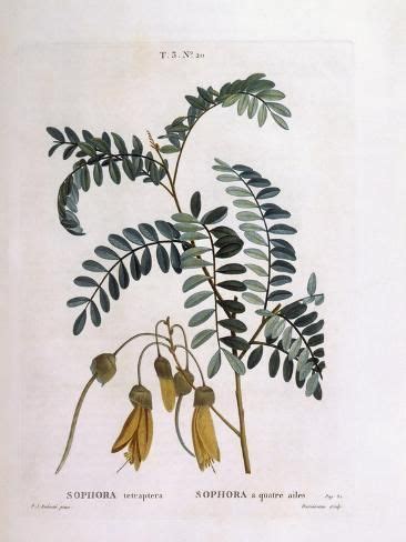 JavaScript Les Bases 的图像结果