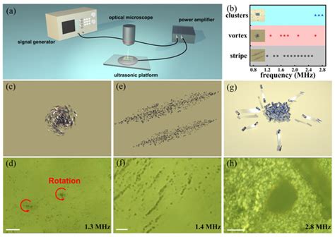 Micromachines | Special Issue : Advanced Micro-/Nano-Manipulation and ...