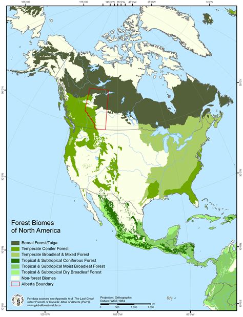 Forest Biomes of North America | Forest map, Forest resources, Biomes