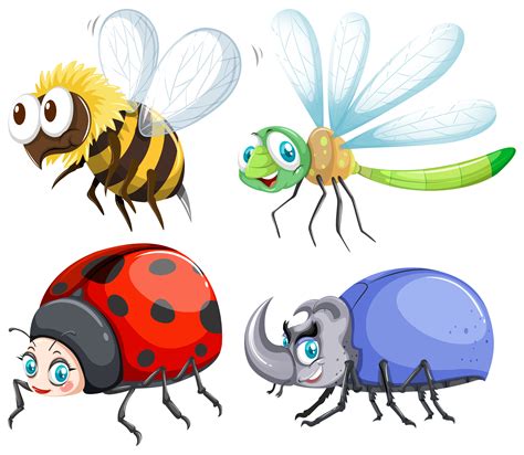 Insects Clipart