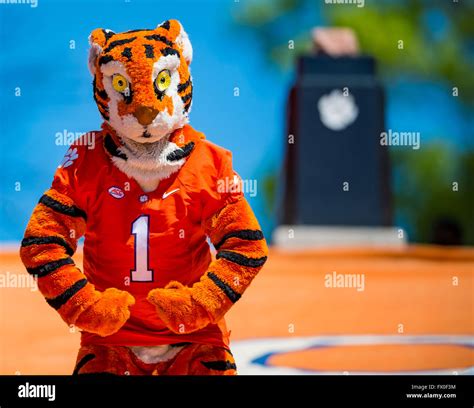 The Clemson Tiger Mascot during the Clemson Football Spring Game ...
