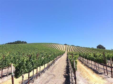 „Clemensing in California“ | agrarheute.com