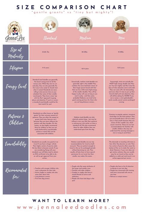 Cockapoo Weight Chart 的图像结果