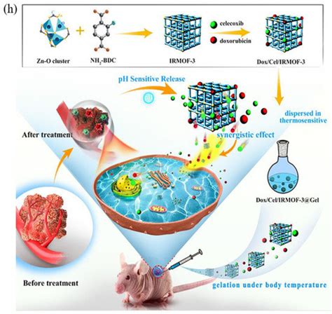 Innovative Metal-Organic Frameworks for Targeted Oral Cancer Therapy: A ...