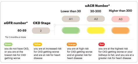 Stage 2 Chronic Kidney Disease (CKD) | National Kidney Foundation
