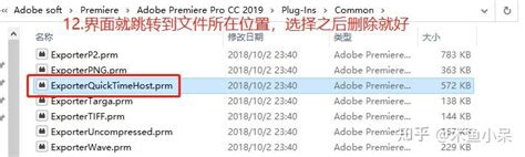 Loading Importer Quicktime.prm 的图像结果