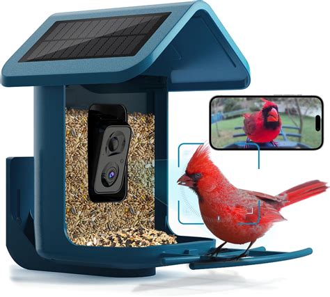 Amazon.com: Bird Buddy Pro Smart Feeder Deluxe Bundle – Solar Feeder ...